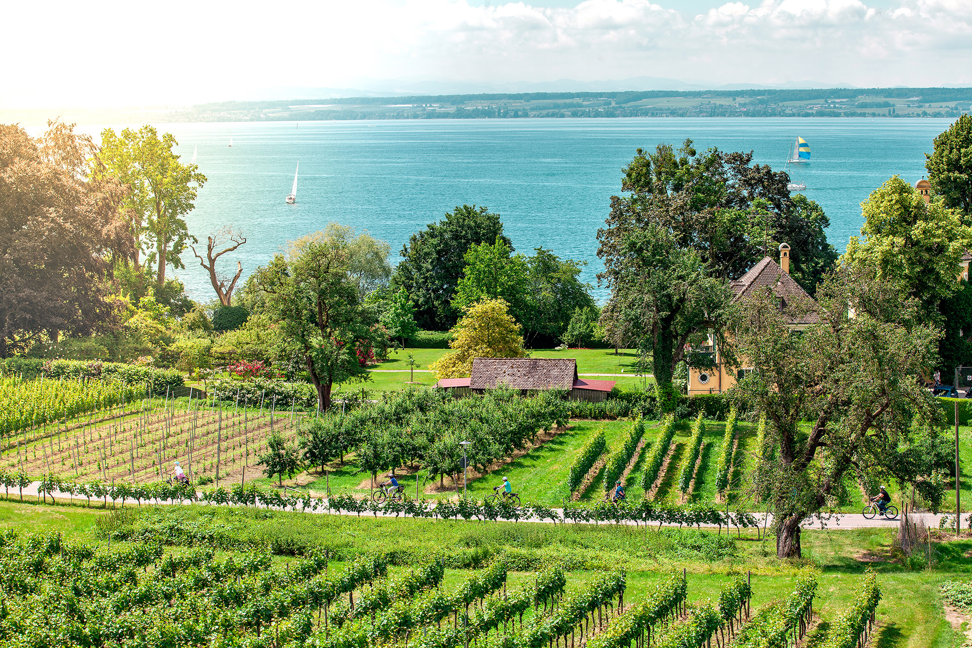 FRUITS FROM LAKE CONSTANCE